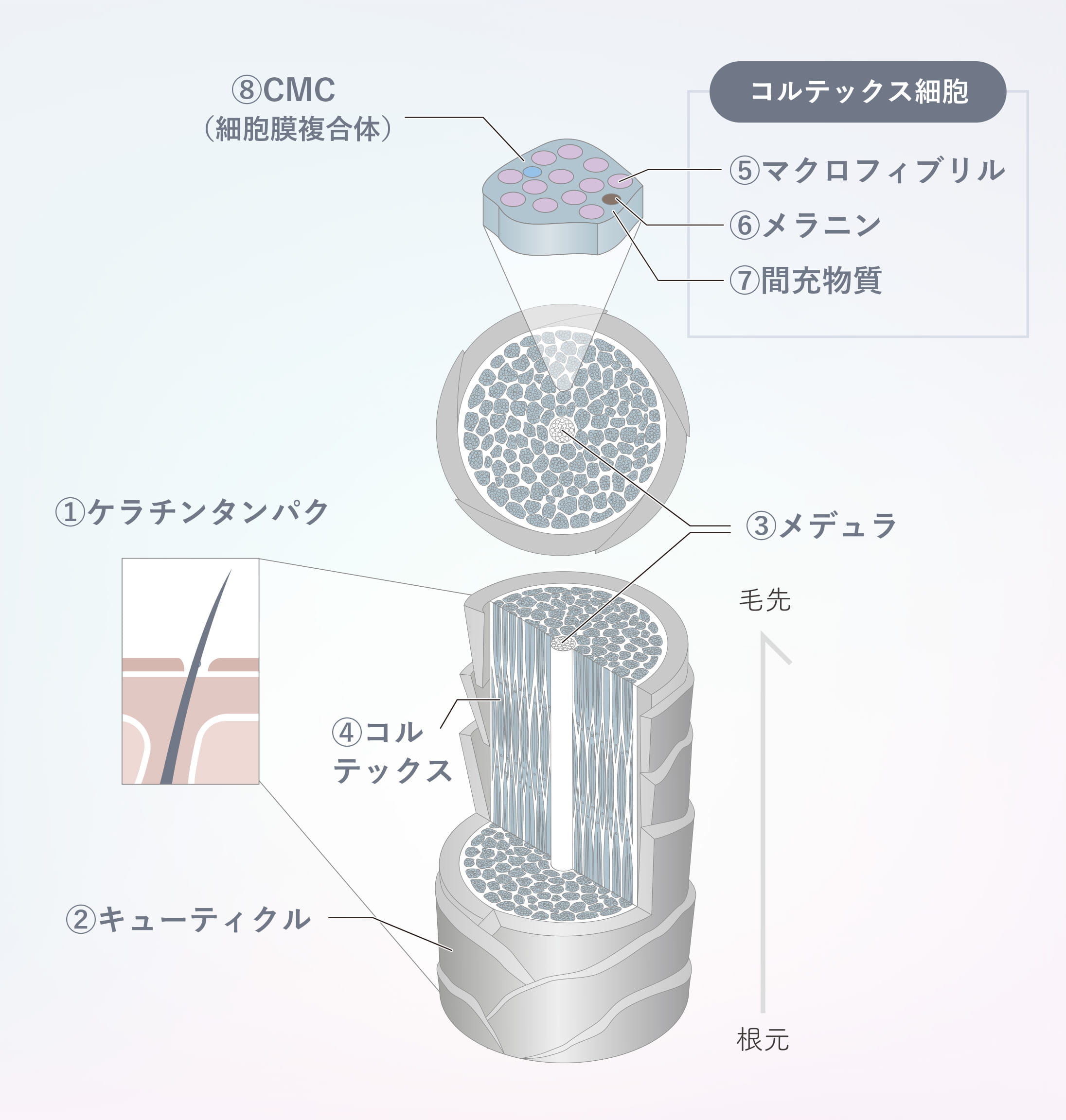 髪の深部にまで栄養を届け理想的な状態に導く